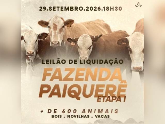 Leilão Fazenda Paiquerê – Etapa 1
