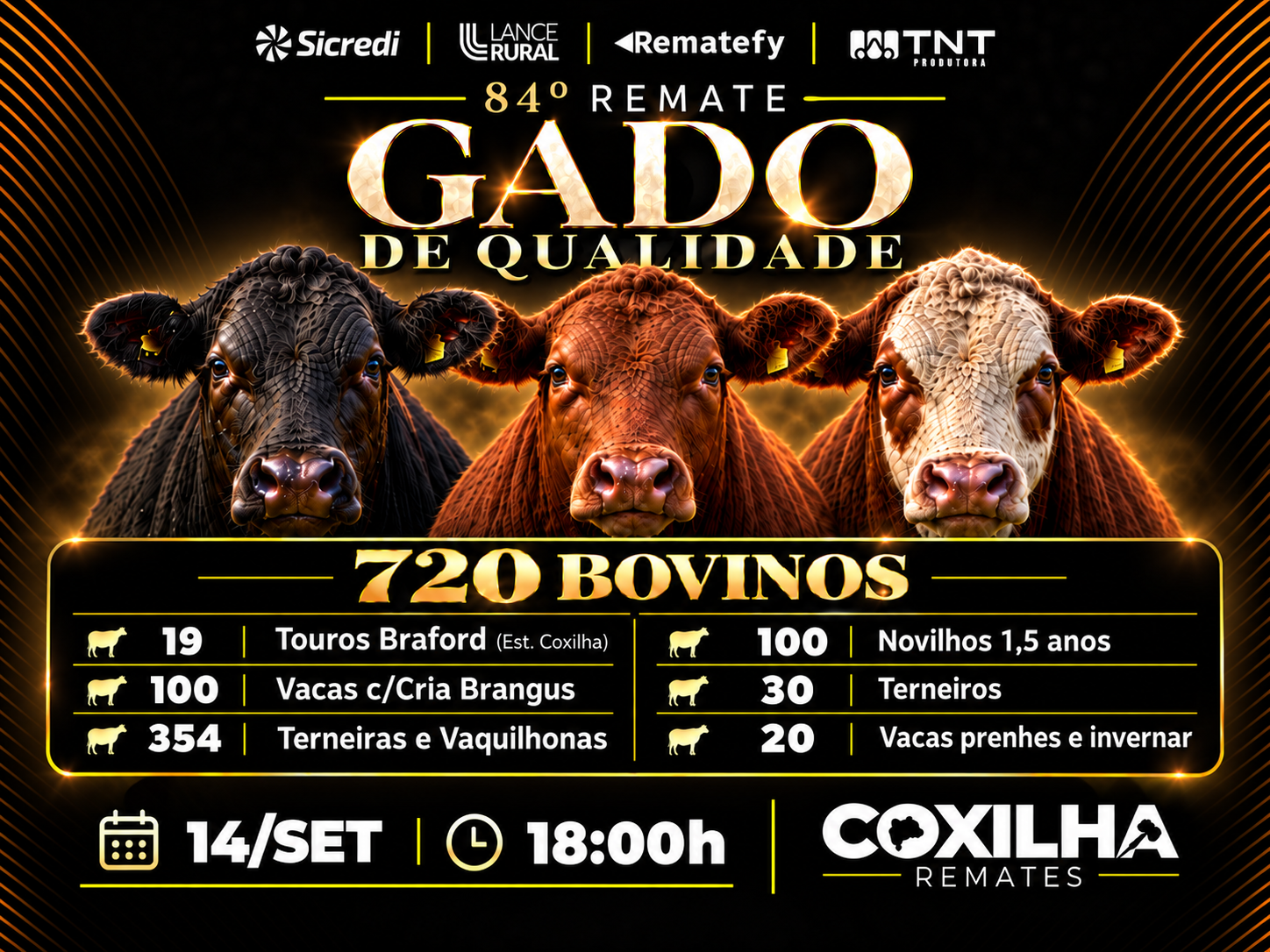 84º Remate Gado de Qualidade