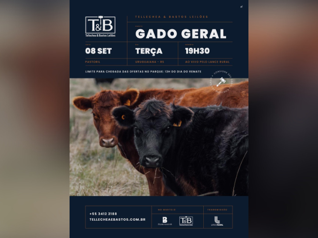 Remate Gado Geral