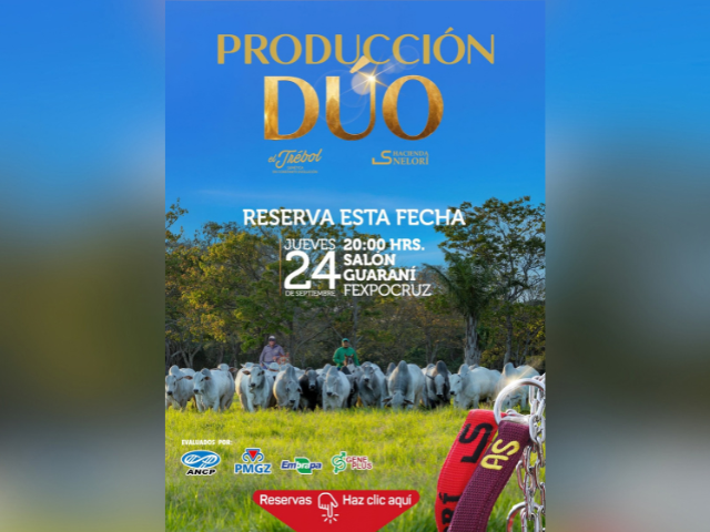 Remate Producíon Dúo