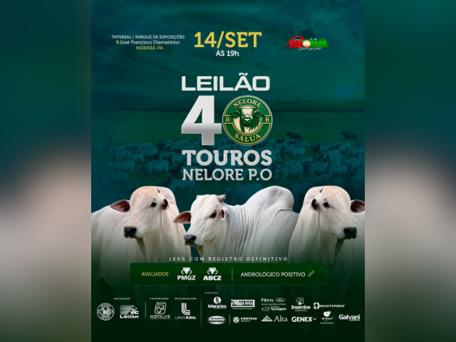 Leilão Nelore Sálua
