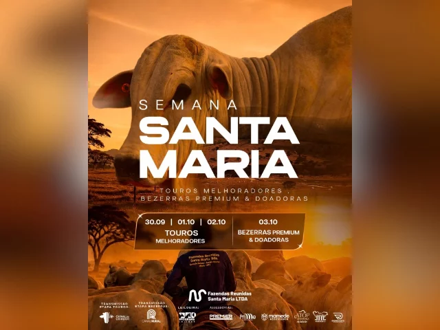 Leilão Semana Santa Maria – Bezerras Premium e Doadoras