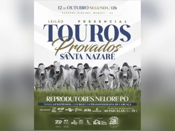 Leilão Presencial Touros Provados Santa Nazaré