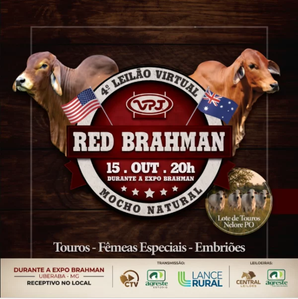 4º Leilão Virtual Red Brahman