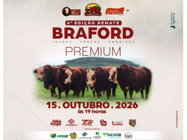 Remate Braford Premium – 6ª Edição