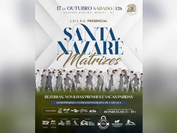 Leilão Presencial Santa Nazaré Matrizes