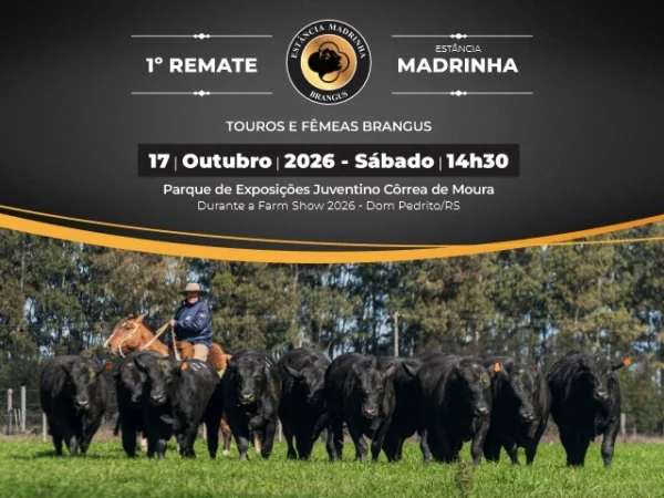 1º Remate Estância Madrinha