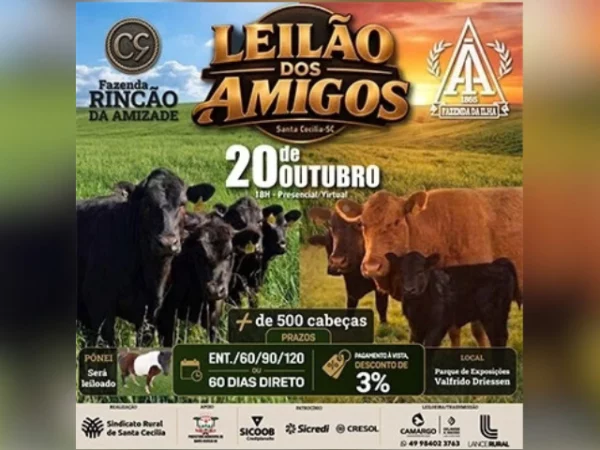 Leilão Dos Amigos