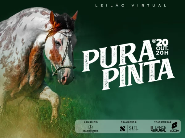 Leilão Virtual Pura Pinta