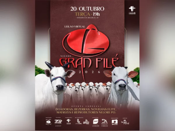 Leilão Virtual Nelore Gran Filé 2026