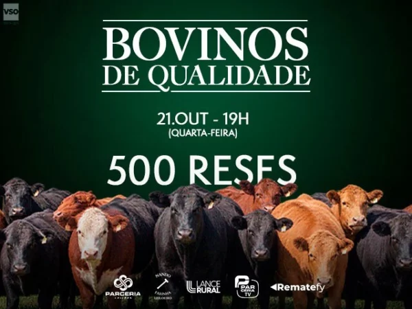 Leilão Virtual Bovinos De Qualidade