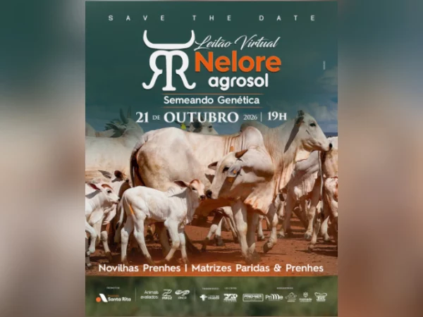 Leilão Virtual Nelore Agrosol – Semeando Genética