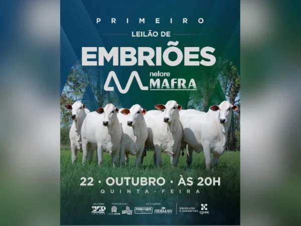 1º Leilão de Embriões Nelore Mafra