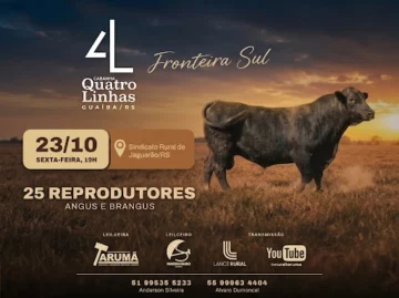 Leilão 4 Linhas – Fronteiras Sul