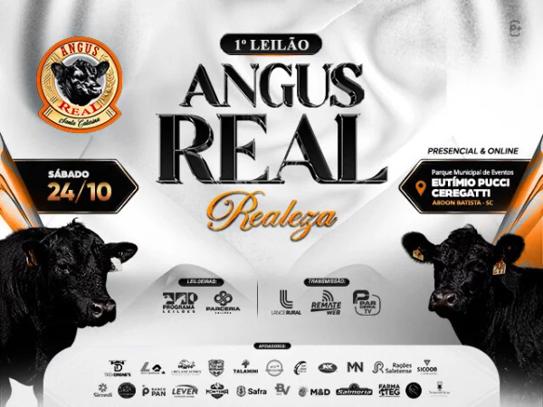 1º Leilão Angus Real Realeza