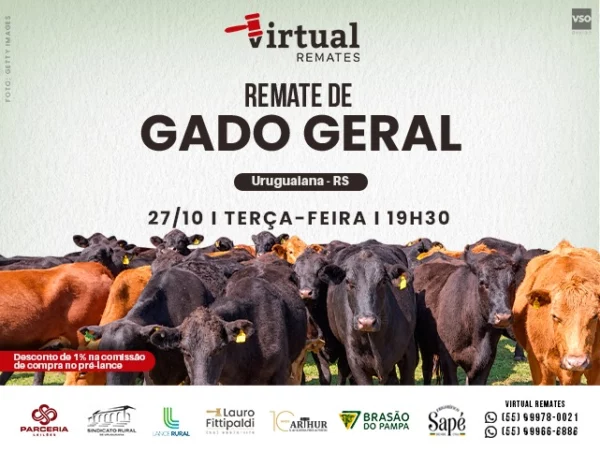 Remate De Gado Geral