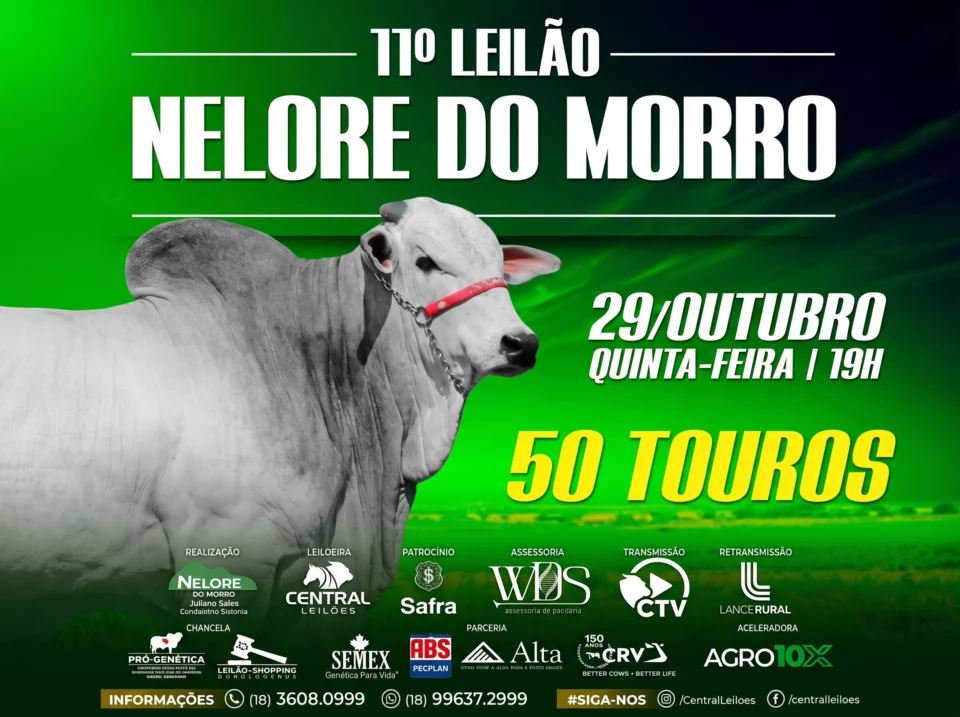 11º Leilão Nelore Do Morro