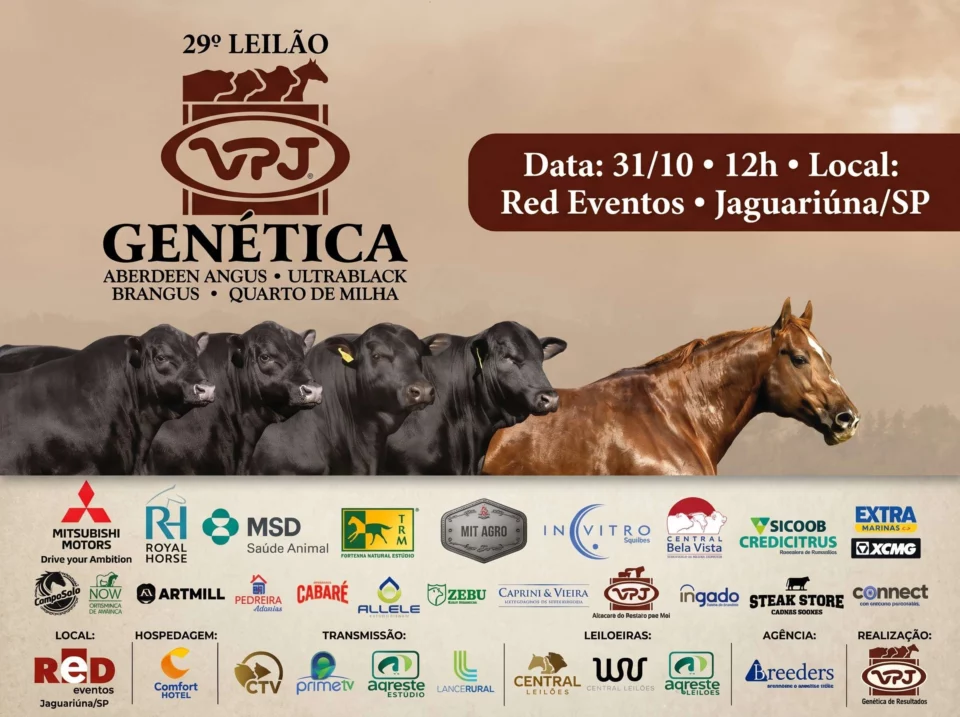 29º Leilão VPJ Genética