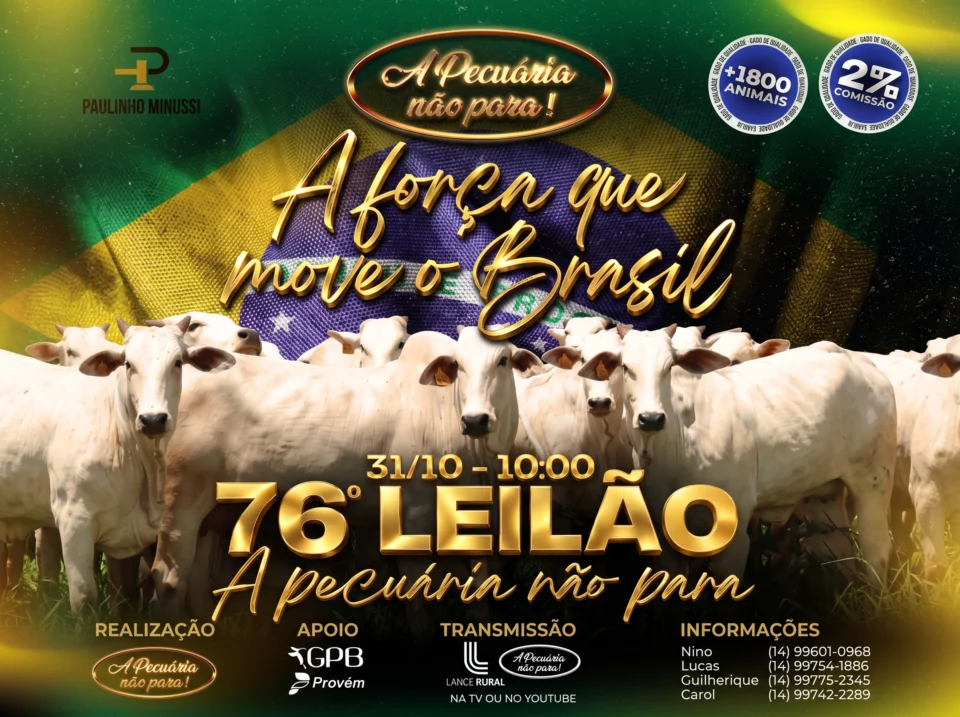 76º Leilão A Pecuaria Não Para