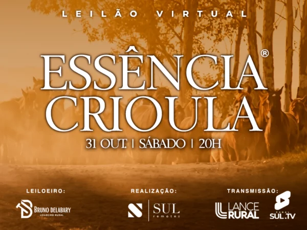 Leilão Virtual Essência Crioula