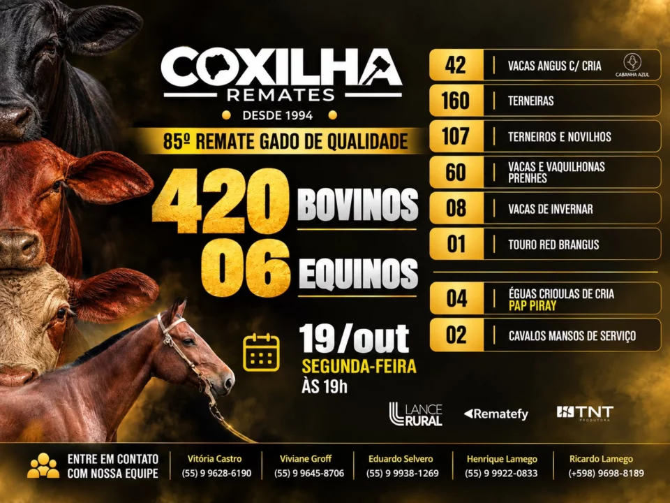 85º Remate Gado de Qualidade