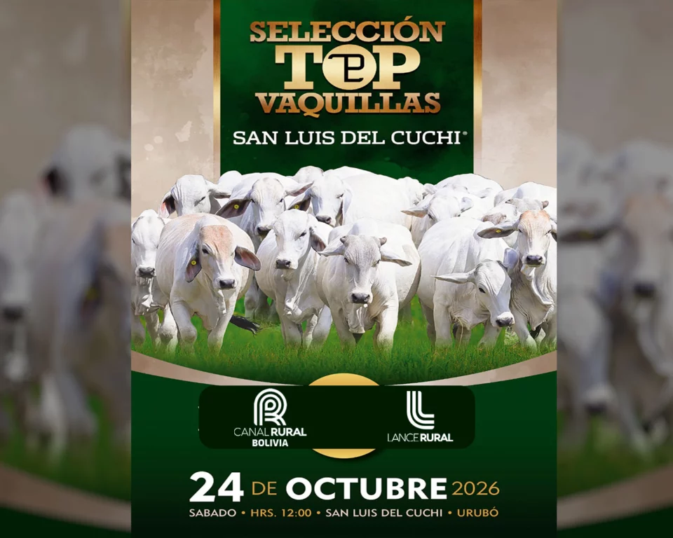 Seleccion Top Vaquillas
