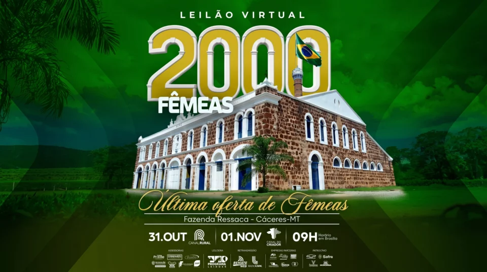 Leilão Virtual 2000 Femêas Fazenda Ressaca