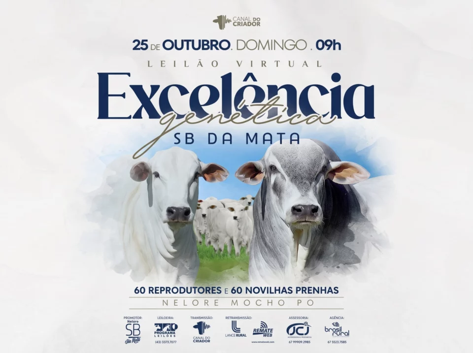 Leilão Virtual Excelência Genética SB Da Mata