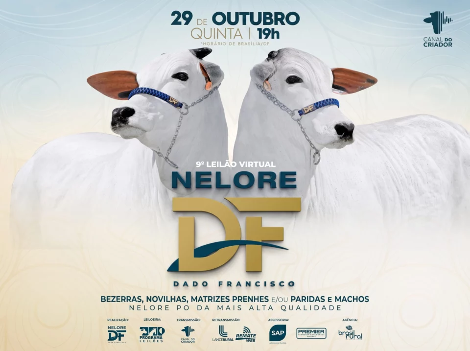 9º Leilão Virtual Nelore DF