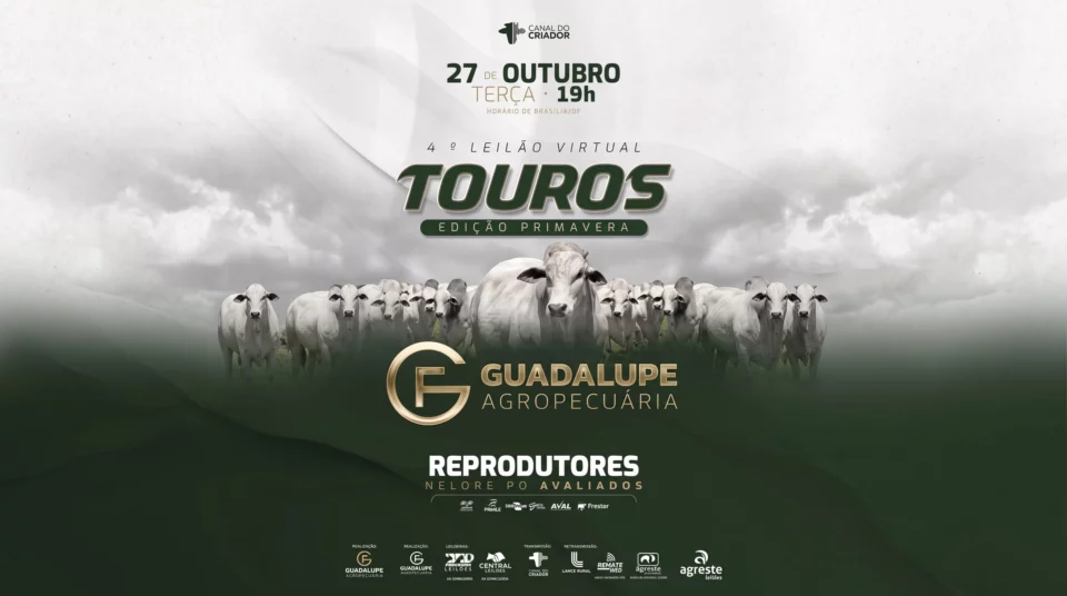 4º Leilão Virtual Touros Edição Primavera – Guardalupe Agropecuária
