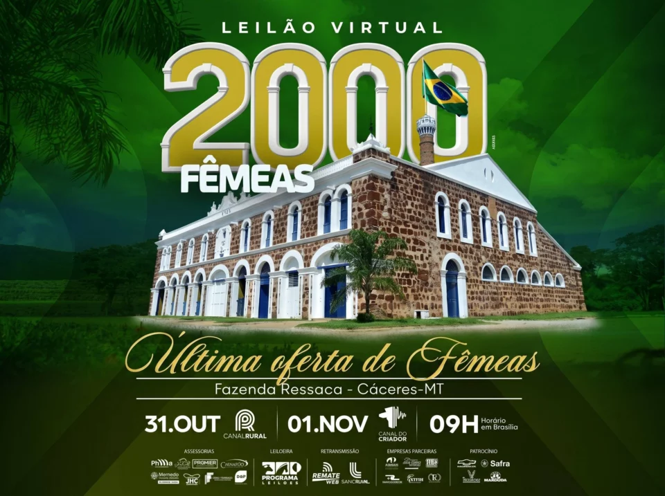 Leilão Virtual 2000 Fêmeas Fazenda Ressaca