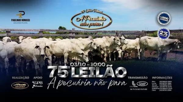 75º Leilão A Pecuaria Não Para