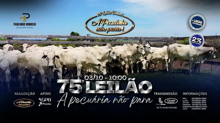 75º Leilão A Pecuaria Não Para