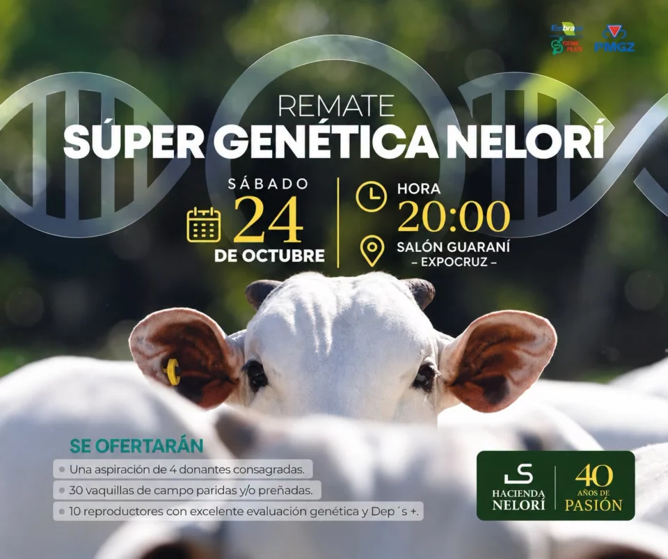 Super Genetica Nelori