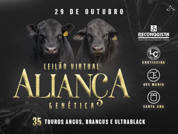 Leilão Aliança
